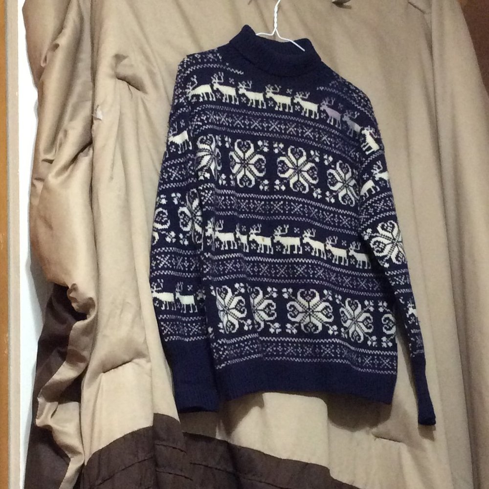 COPY - Wool Turtleneck Sweater